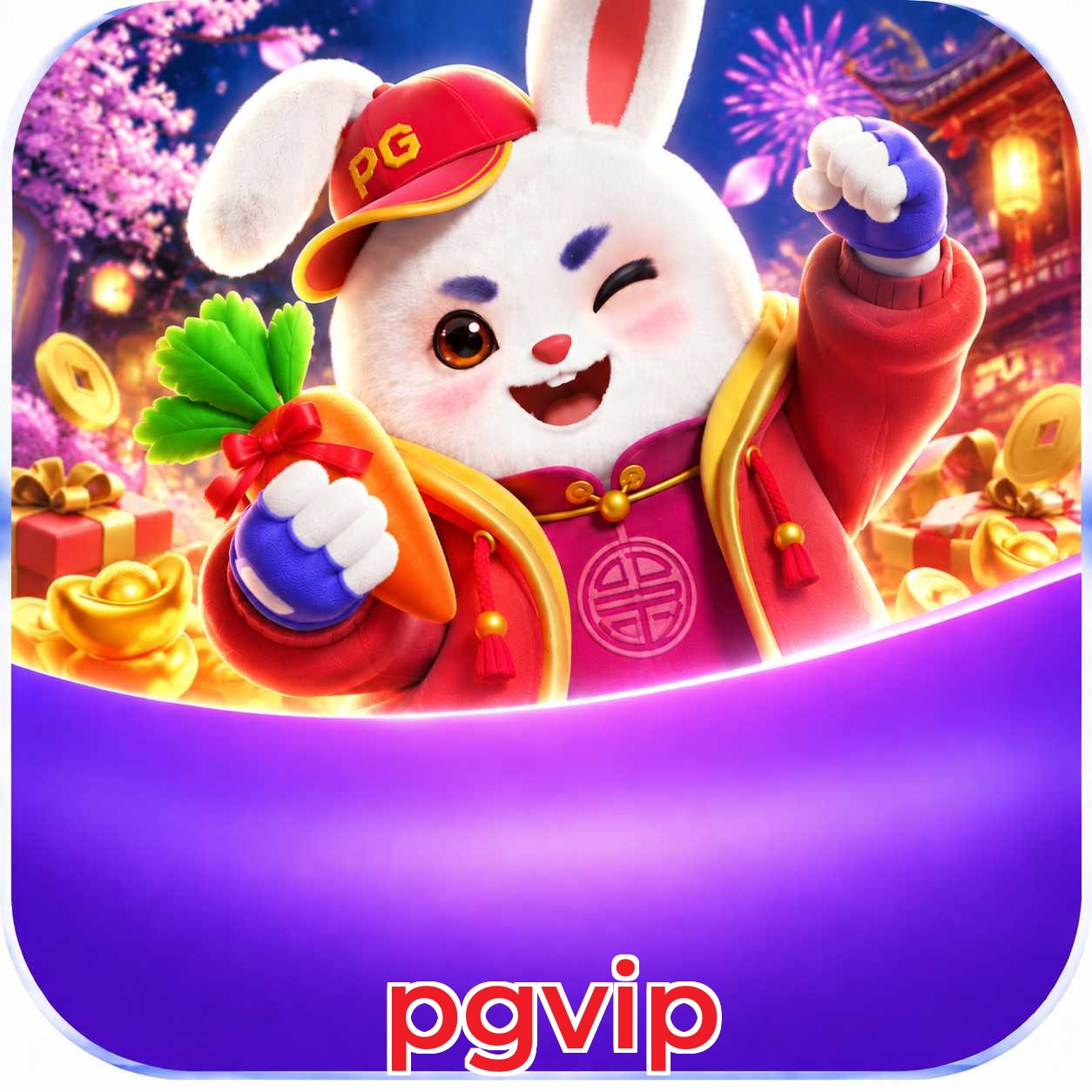 pgvip Plataforma FAQ
