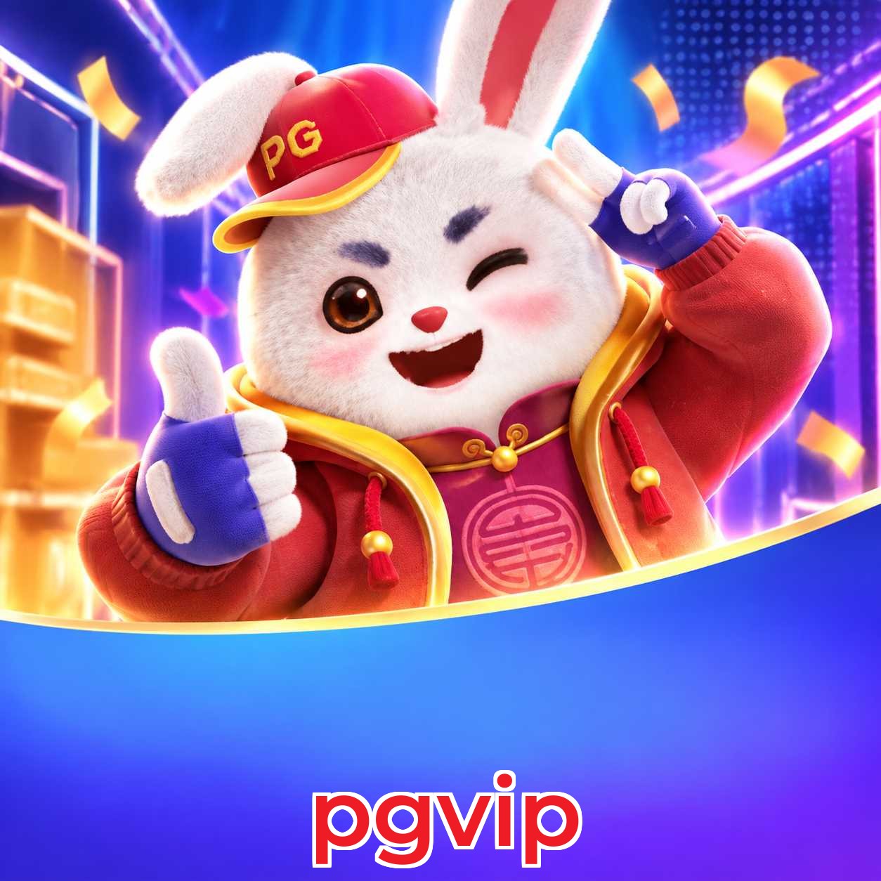 pgvip Version History