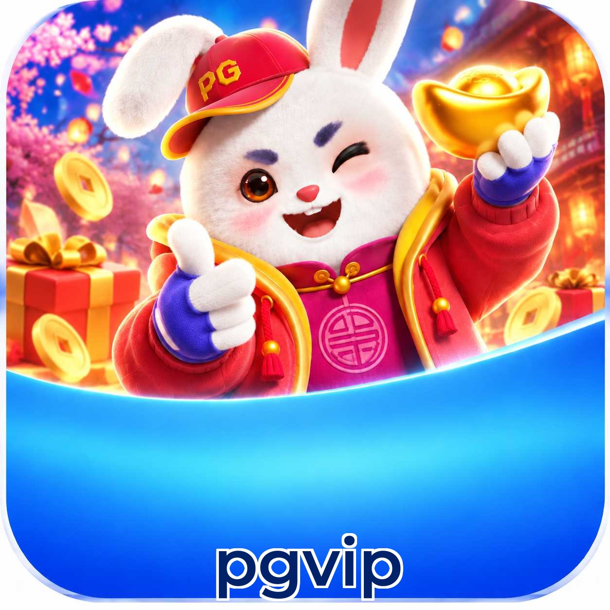 pgvip Facebook Support