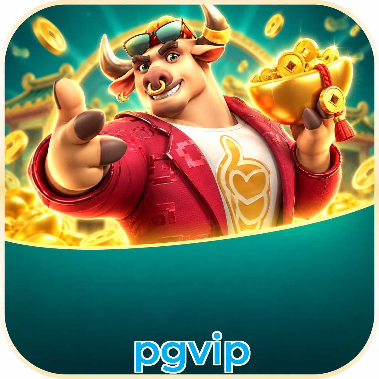 pgvip Suporte